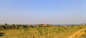 Locale Ankura Farmstay