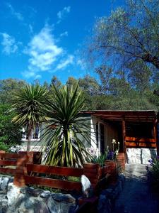 Cabañas Flor De Lis