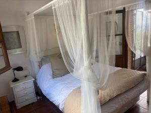 Casa Liebre stylish comfort and tranquility with spectacular views