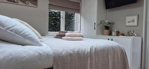 Tiny Villa de Haas met Infraroodsauna