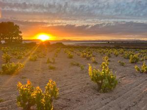 La Mata 7 Sea View, Pool, 100m Beach