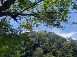 Ella Nithis Eco Cottages