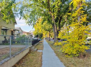 Central 3 Bedroom Gem Near ICE District - Stadium and Malls