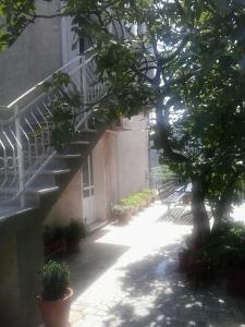 Apartment Zeljka