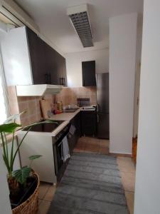 Apartman Matica Srpska sa garazom