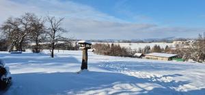 Apartmán Vysoké nad Jizerou