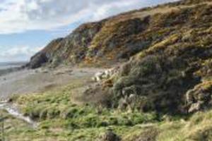 Caravan - Sleeps 4 - Pet friendly - Parking