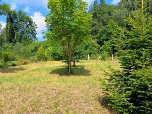 Dom przy lesie i jeziorze