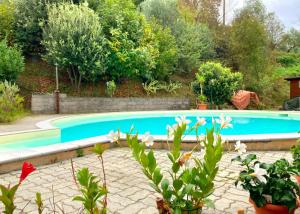 La casa nel verde con piscina