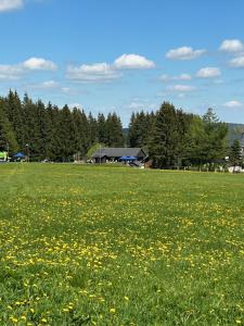 Ferienhaus Schindler