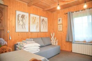 Willa Regionalna Kosołka