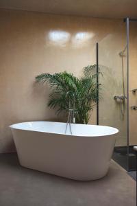 Casa Piletas - Califa Casas Vejer