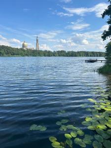 Domki nad jeziorami Niedźwiady