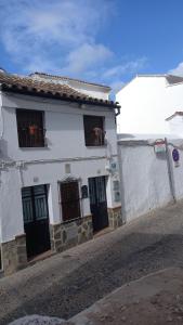 Loft "Elegante" Lila