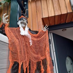 Serenity Indepedent Suite near to Disneyland & Paris