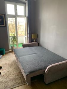 3 Bedroom Spacious Cozy Apartment in Center