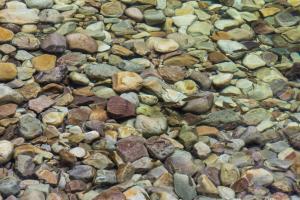 Aare waterfalls homestay