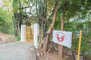 Aare waterfalls homestay