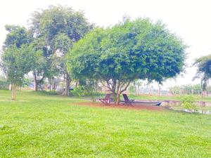 The Thinnai Farm