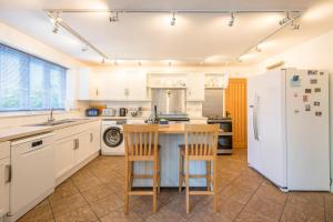 Kingfisher, Walberswick