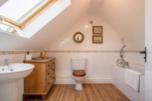 Kingfisher, Walberswick