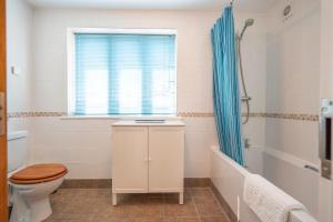 Kingfisher, Walberswick