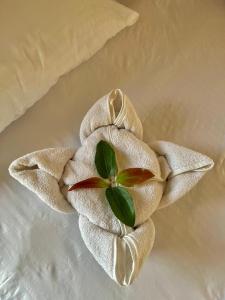 Kurundu House Mirissa