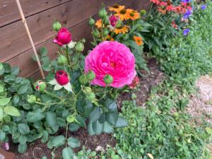 Chalet Feichtn Schuster