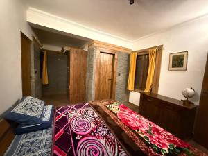 Green Ville by Stay Stories