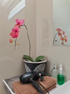 Lush Tropical Villa Central Amed