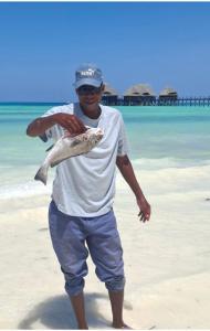 Annas House with pool