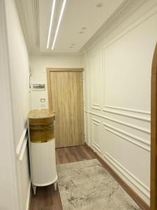 cozy apperment in down town