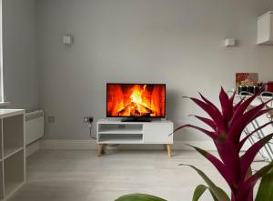 Amazing Flat in Central London