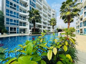 林荫大道公寓Grand Avenue codon 超大泳池 素质极高的公寓