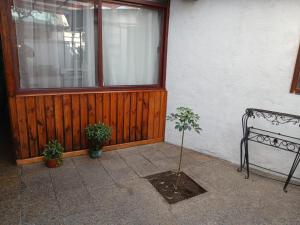 HabitacionIndependiente - Ubytování bez kategorie ve městě El Cerrillo