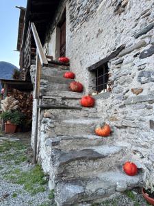 Chalet Valchiavenna