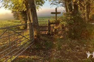 1 Bed Lodge-Sleeps 4-Pet Friendly-Free Parking