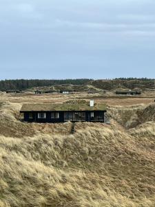 Wooden House In The Dunes Close To The Sea