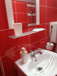 Belle View Apartment Sinaia