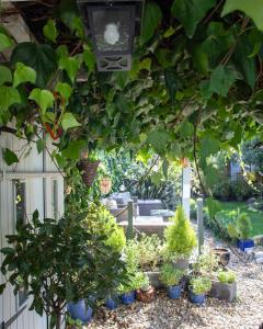 Thai inspired Garden House Short Beach Stroll in the Heart of Whitstable