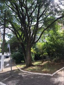 Apartamento retrô Vila Mariana