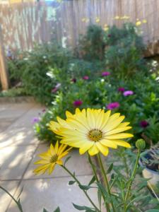 La casa di Luana sulla via Francigena