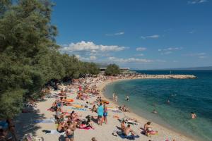 Luxury Rooms Near the Beach1