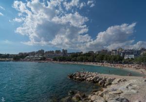 Luxury Rooms Near the Beach1