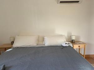 Luxury penthouse Apartment