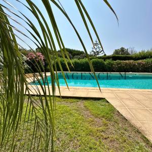 Villa 13 oliviers - Piscine XXL, parc arboré et coucher de soleil