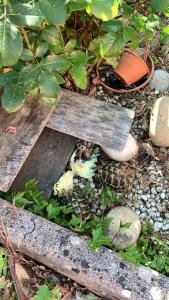 Aquahouse - Villa, romantica mansarda e acquari