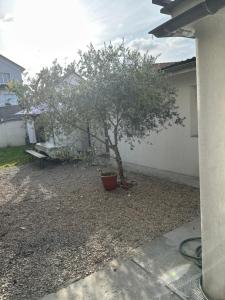 Appart près de Paris et Disneyland