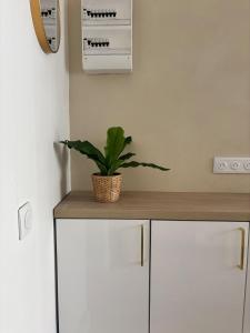 Le Vieux Marché - Proche Centre Historique