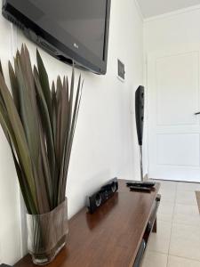 Saturno - Céntrico y Completo